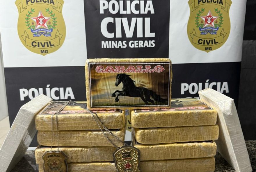 homem-e-preso-com-11-barras-de-cocaina-em-operacao-na-rodoviaria-de-muriae