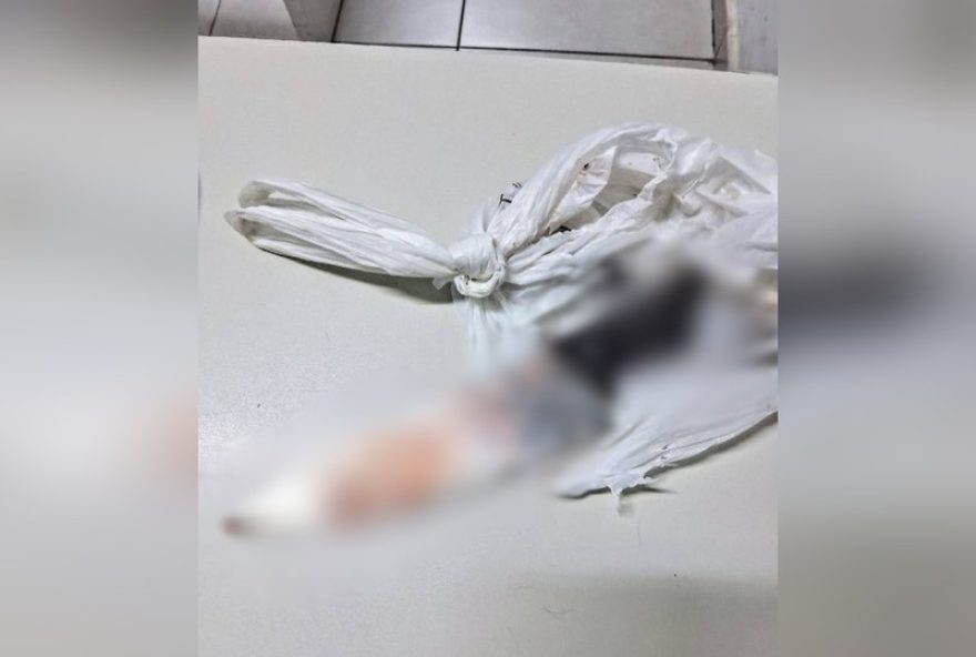 homem-e-preso-em-jundiai-por-matar-cachorro-a-facadas homem-e-preso-em-jundiai-por-matar-cachorro-a-facadas