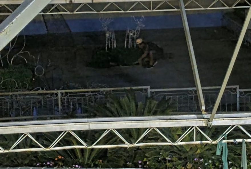 homem-e-preso-furtando-fios-de-iluminacao-natalina-em-sao-jose-do-rio-preto-sp homem-e-preso-furtando-fios-de-iluminacao-natalina-em-sao-jose-do-rio-preto-sp