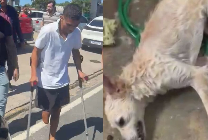 homem-e-preso-por-espancar-cadela-da-ex-em-olinda3A-veja-as-imagens-assustadoras-da-agressao homem-e-preso-por-espancar-cadela-da-ex-em-olinda3A-veja-as-imagens-assustadoras-da-agressao