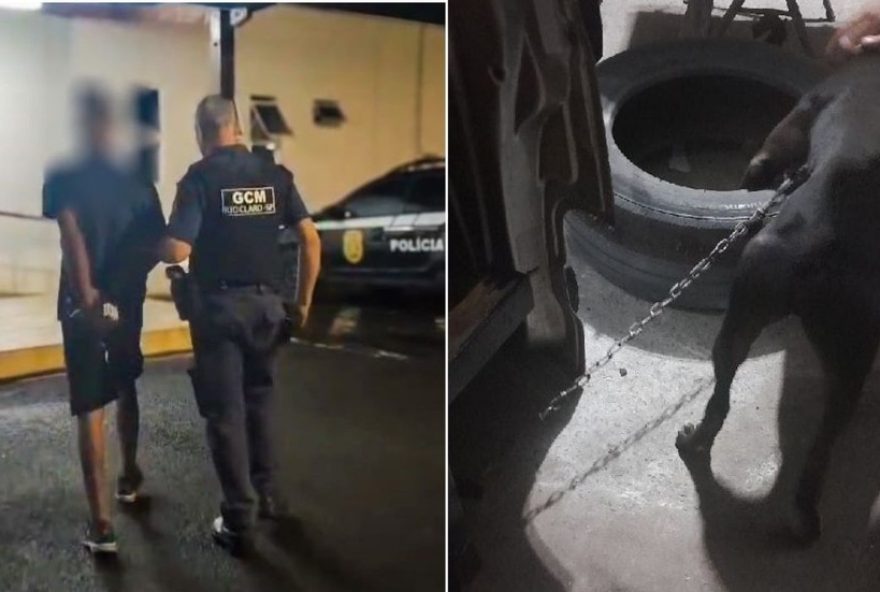 homem-e-preso-por-maus-tratos-a-pitbull-em-rio-claro-sp3A-cao-agredido-e-mantido-em-condicoes-precarias homem-e-preso-por-maus-tratos-a-pitbull-em-rio-claro-sp3A-cao-agredido-e-mantido-em-condicoes-precarias