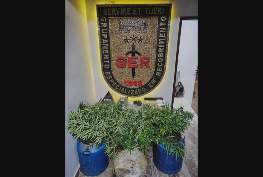 homem-e-preso-por-trafico-de-drogas-em-contagem3A-lab-de-maconha-desarticulado homem-e-preso-por-trafico-de-drogas-em-contagem3A-lab-de-maconha-desarticulado