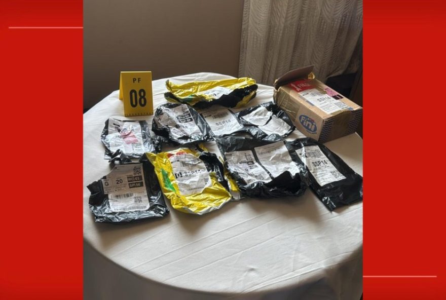 homem-e-preso-suspeito-de-integrar-organizacao-terrorista-internacional-e-planejar-ataque-prisao-e-apreensao-de-explosivos homem-e-preso-suspeito-de-integrar-organizacao-terrorista-internacional-e-planejar-ataque-prisao-e-apreensao-de-explosivos