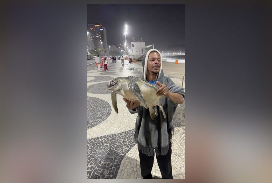 homem-e-visto-com-tartaruga-marinha-na-praia-de-copacabana-a-importancia-da-protecao-da-fauna-marinha