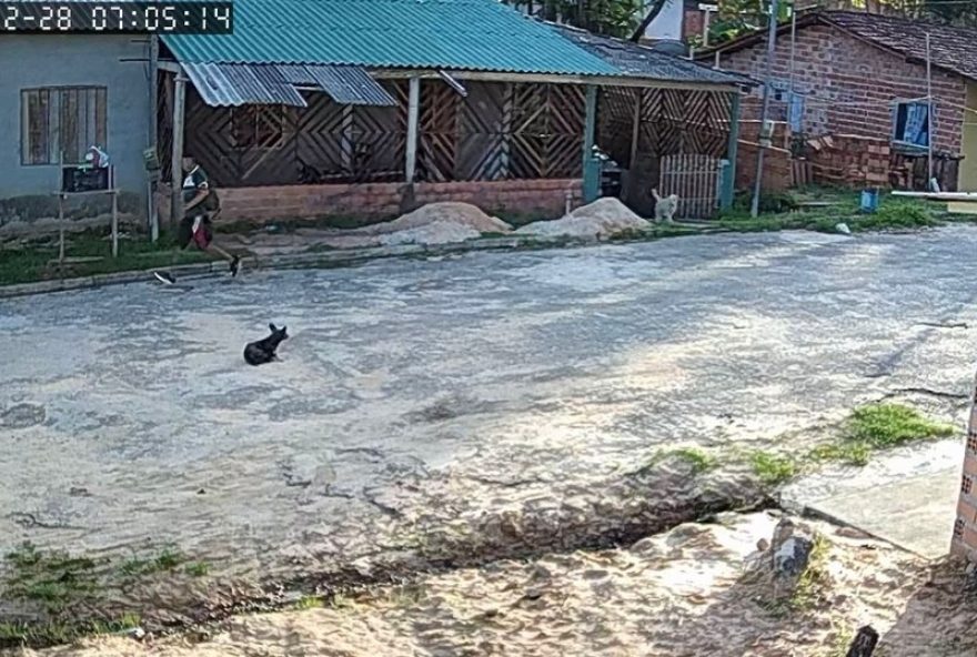 homem-incendeia-ex-companheira-e-filha-em-salinopolis3A-suspeito-e-preso-no-para homem-incendeia-ex-companheira-e-filha-em-salinopolis3A-suspeito-e-preso-no-para