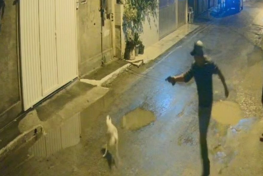 homem-mata-cachorro-a-tiros-em-mage3A-comunidade-clama-por-justica-e-protecao-animal