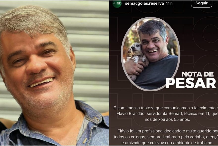 homem-morre-apos-ataque-de-abelhas-em-praca-de-goiania