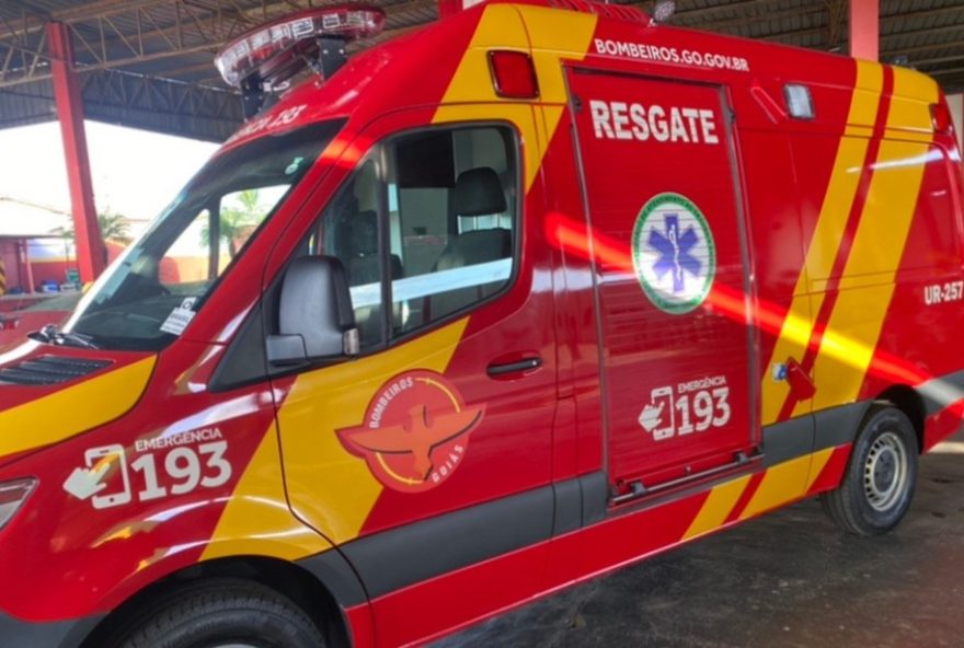 homem-morre-apos-ataque-de-marimbondos-em-aparecida-de-goiania3A-causa-da-morte-foi-alergia-grave homem-morre-apos-ataque-de-marimbondos-em-aparecida-de-goiania3A-causa-da-morte-foi-alergia-grave