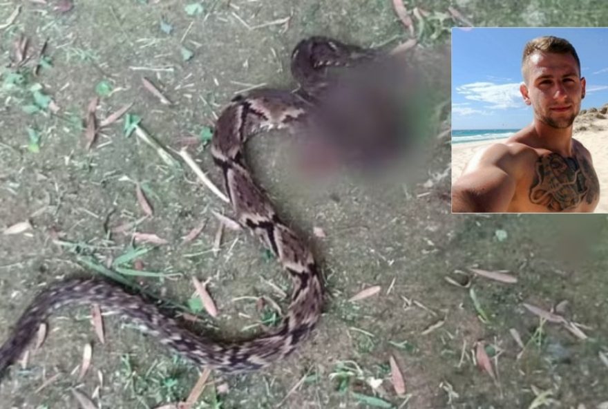 homem-morre-apos-picada-de-cobra-em-monte-verde3A-prefeitura-reforca-protocolos-de-saude-e-seguranca