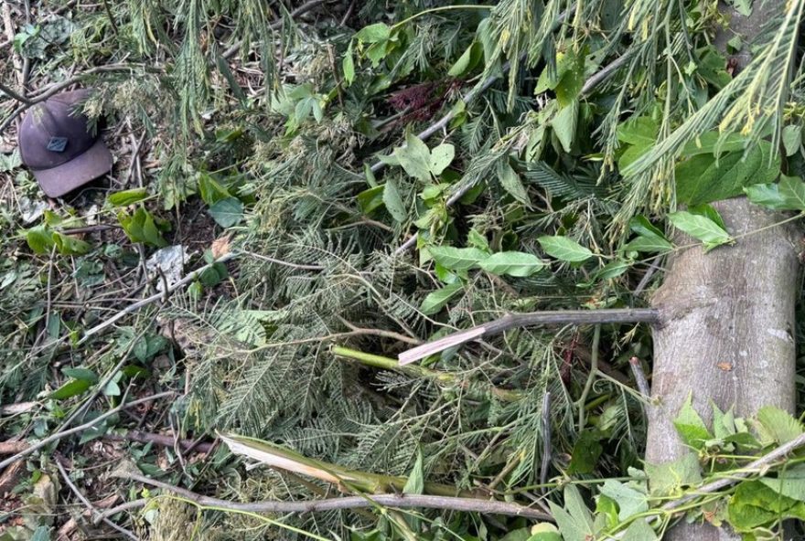 homem-morre-apos-queda-de-arvore-em-tres-coroas3A-medidas-de-prevencao-sao-essenciais homem-morre-apos-queda-de-arvore-em-tres-coroas3A-medidas-de-prevencao-sao-essenciais