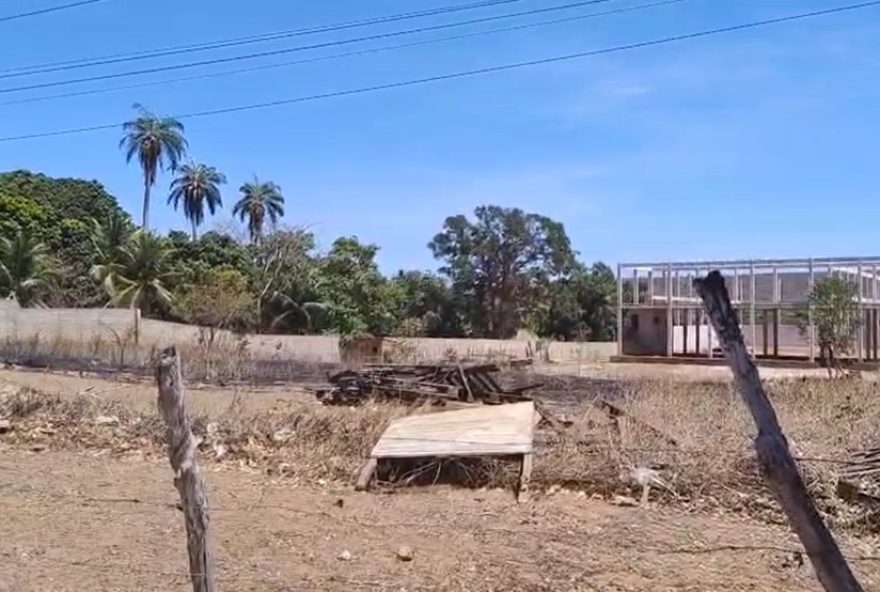homem-morre-atropelado-apos-fugir-de-ataque-de-abelhas-em-juazeiro-do-norte