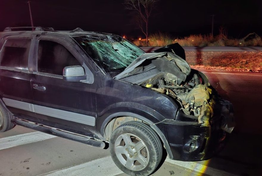 homem-morre-atropelado-na-br-262-em-para-de-minas3A-cobertura-completa-no-diario-do-estado-centro-oeste-mg