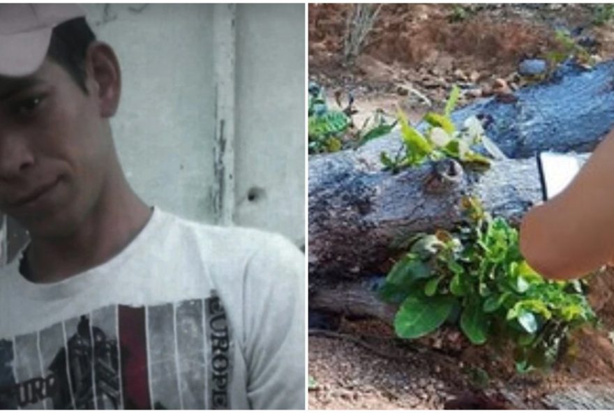 homem-morre-em-acidente-fatal-com-arvore3A-alerta-sobre-seguranca-no-trabalho-florestal