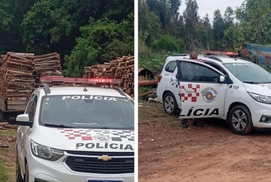 homem-morre-esmagado-por-carga-de-madeira-em-guaranta-sp3A-importancia-da-seguranca-no-trabalho