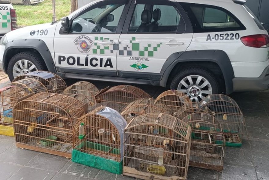 homem-multado-em-r24-552C9-mil-por-manter-aves-silvestres-em-casa-branca