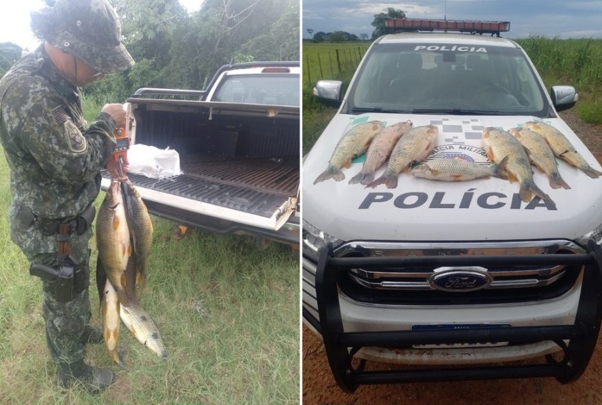 homem-multado-por-capturar-23-kg-de-peixes-na-piracema-em-pauliceia3A-entenda-a-punicao homem-multado-por-capturar-23-kg-de-peixes-na-piracema-em-pauliceia3A-entenda-a-punicao