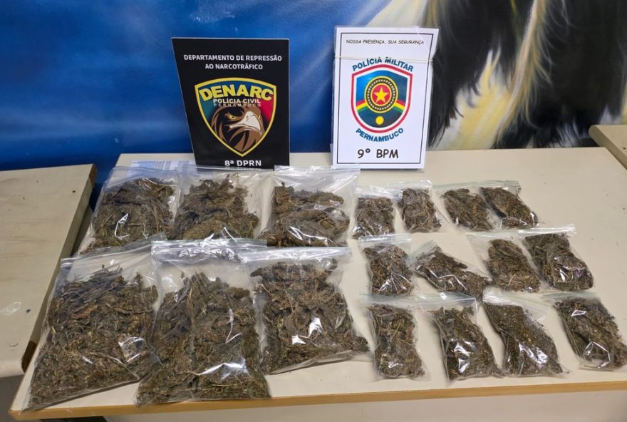 homem-preso-e-adolescentes-apreendidos-por-trafico-de-drogas-em-garanhuns3A-confira-detalhes-da-acao-no-bairro-aluisio-pinto homem-preso-e-adolescentes-apreendidos-por-trafico-de-drogas-em-garanhuns3A-confira-detalhes-da-acao-no-bairro-aluisio-pinto