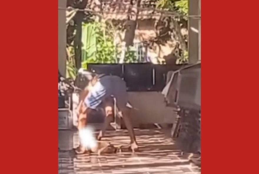 homem-preso-por-enforcar-cadela-no-marajo3A-resgate-apos-denuncia-de-maus-tratos homem-preso-por-enforcar-cadela-no-marajo3A-resgate-apos-denuncia-de-maus-tratos