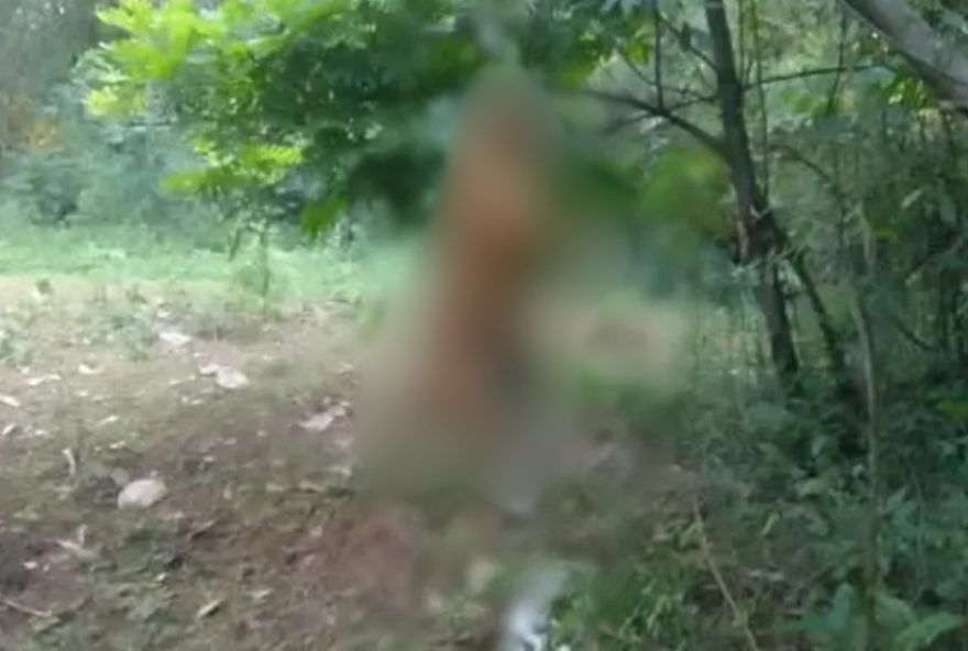 homem-preso-por-enforcar-e-matar-cachorro-em-coronel-vivida2C-parana