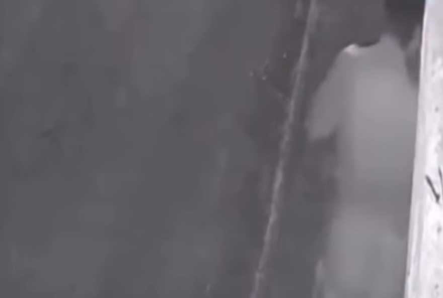 homem-sofre-queimaduras-apos-tentativa-de-invasao-a-abrigo-de-animais-em-goiania homem-sofre-queimaduras-apos-tentativa-de-invasao-a-abrigo-de-animais-em-goiania