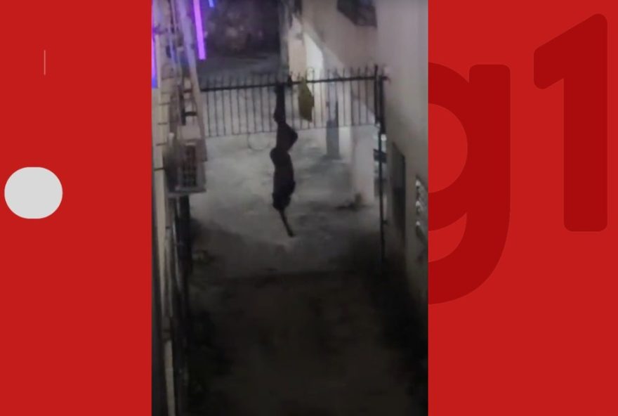 homem-suspeito-de-invadir-predio-fica-preso-na-grade-em-salvador3A-resgate-e-investigacoes-em-andamento homem-suspeito-de-invadir-predio-fica-preso-na-grade-em-salvador3A-resgate-e-investigacoes-em-andamento