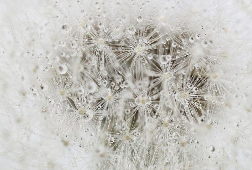 horoscopo-de-hoy2C-lunes-8-de-diciembre3A-predicciones-para-los-signos-del-zodiaco horoscopo-de-hoy2C-lunes-8-de-diciembre3A-predicciones-para-los-signos-del-zodiaco