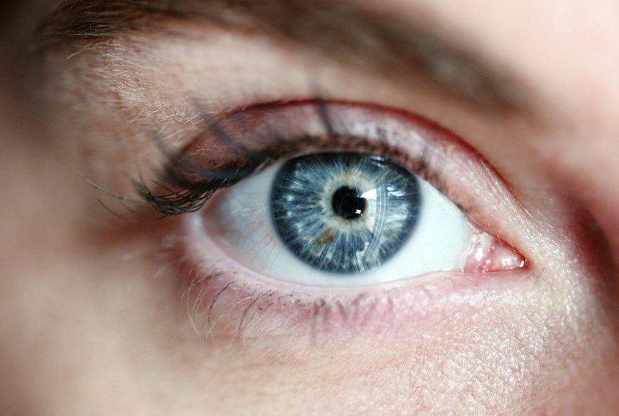 horoscopo-de-hoy3A-predicciones-para-todos-los-signos-del-zodiaco-domingo-14-de-diciembre horoscopo-de-hoy3A-predicciones-para-todos-los-signos-del-zodiaco-domingo-14-de-diciembre