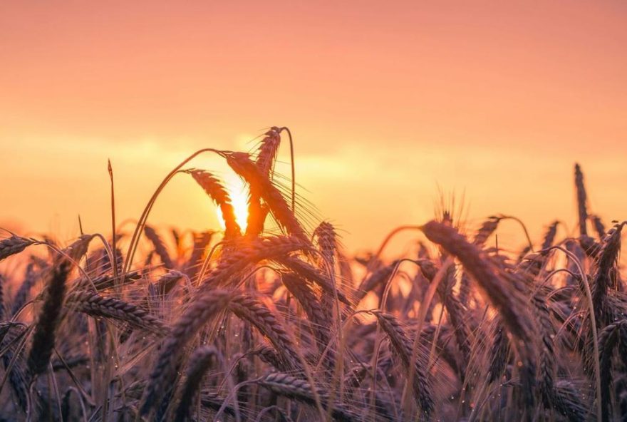 horoscopo-de-manana2C-sabado-8-de-noviembre3A-predicciones-para-todos-los-signos-del-zodiaco horoscopo-de-manana2C-sabado-8-de-noviembre3A-predicciones-para-todos-los-signos-del-zodiaco