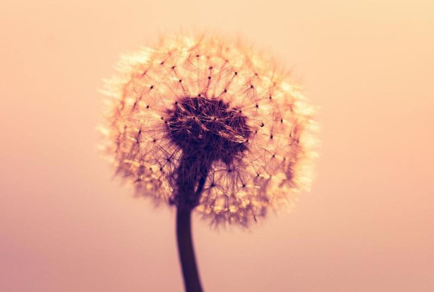 horoscopo-de-manana3A-predicciones-para-los-signos-del-zodiaco-el-lunes-17-de-noviembre