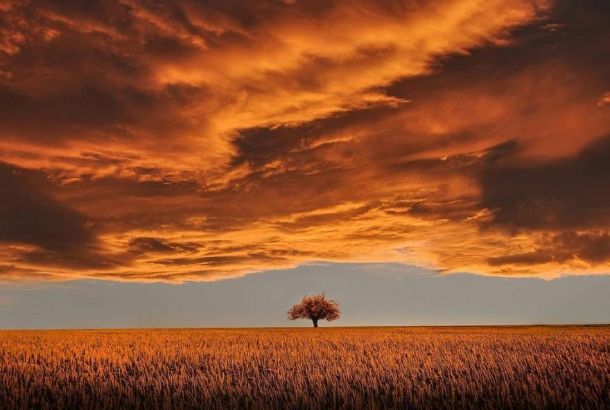 horoscopo-de-manana3A-predicciones-para-los-signos-del-zodiaco-el-sabado-22-de-noviembre