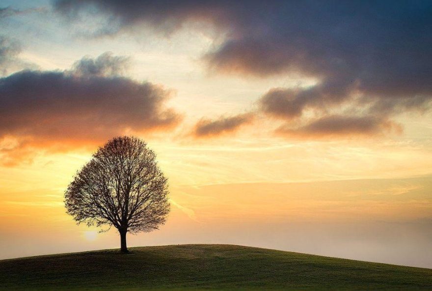 horoscopo-del-dia3A-predicciones-para-todos-los-signos-del-zodiaco horoscopo-del-dia3A-predicciones-para-todos-los-signos-del-zodiaco