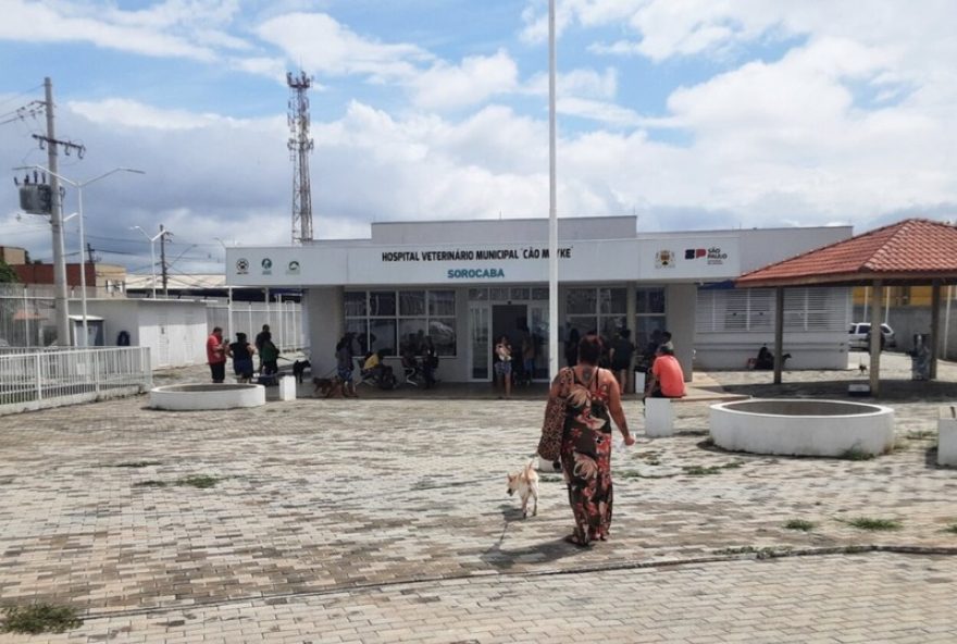 hospital-veterinario-cao-mayke-e-autuado-por-irregularidades-em-sorocaba-sp-saiba-mais hospital-veterinario-cao-mayke-e-autuado-por-irregularidades-em-sorocaba-sp-saiba-mais