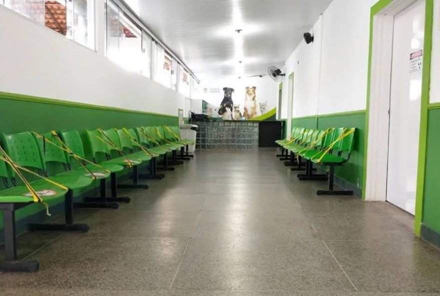 hospital-veterinario-uema3A-vacinacao-antirrabica-gratuita-aos-sabados
