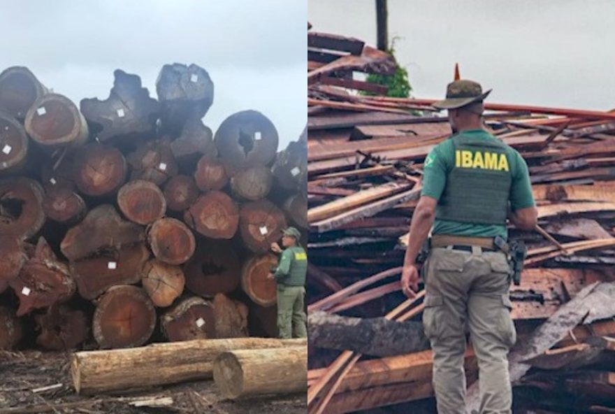 ibama-e-icmbio-aplicam-r24-100-milhoes-em-multas-por-madeira-ilegal-no-para ibama-e-icmbio-aplicam-r24-100-milhoes-em-multas-por-madeira-ilegal-no-para