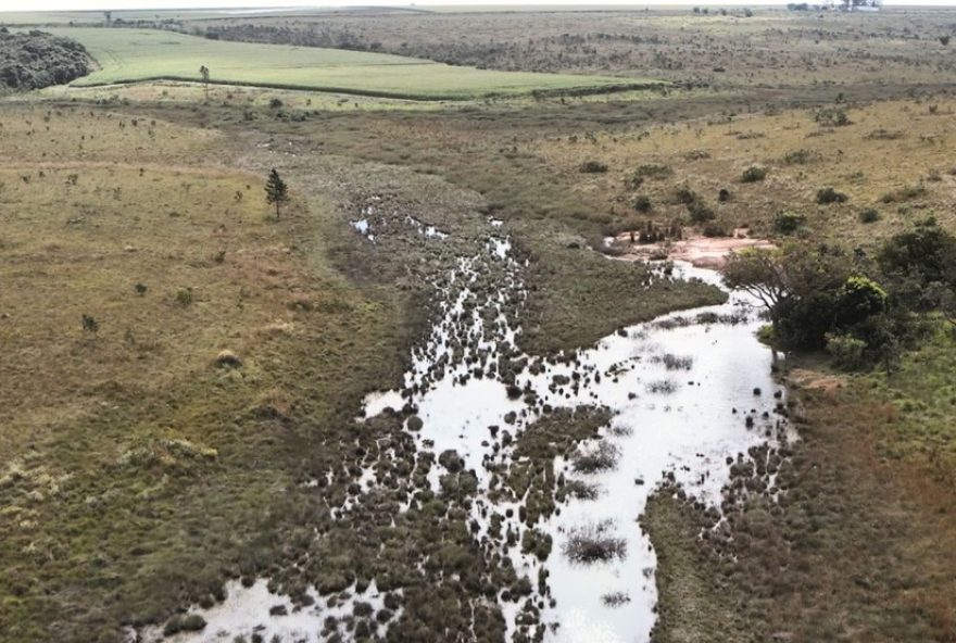 ibama-embarga-500-hectares-e-aplica-r24-42C5-milhoes-em-multas-em-fazendas-de-uberlandia-e-uberaba3A-operacao-reserva-legal-no-diario-do-estado