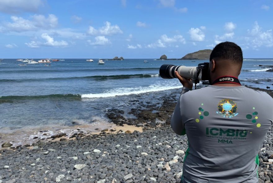 icmbio-alerta-para-riscos-de-alimentacao-e-fotos-de-turistas-com-tubaroes-em-fernando-de-noronha icmbio-alerta-para-riscos-de-alimentacao-e-fotos-de-turistas-com-tubaroes-em-fernando-de-noronha