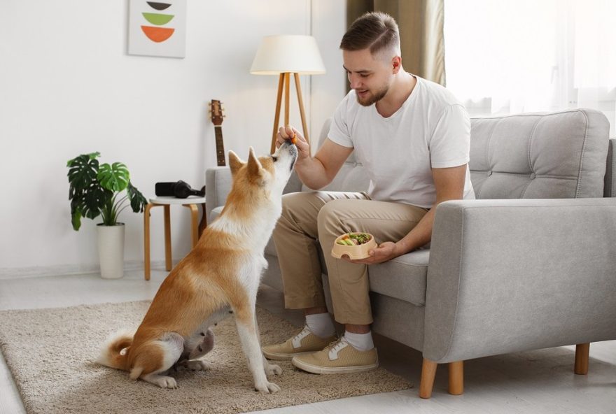 identifique-as-necessidades-alimentares-do-seu-cachorro3A-aposte-na-alimentacao-natural-para-uma-dieta-balanceada-e-saudavel