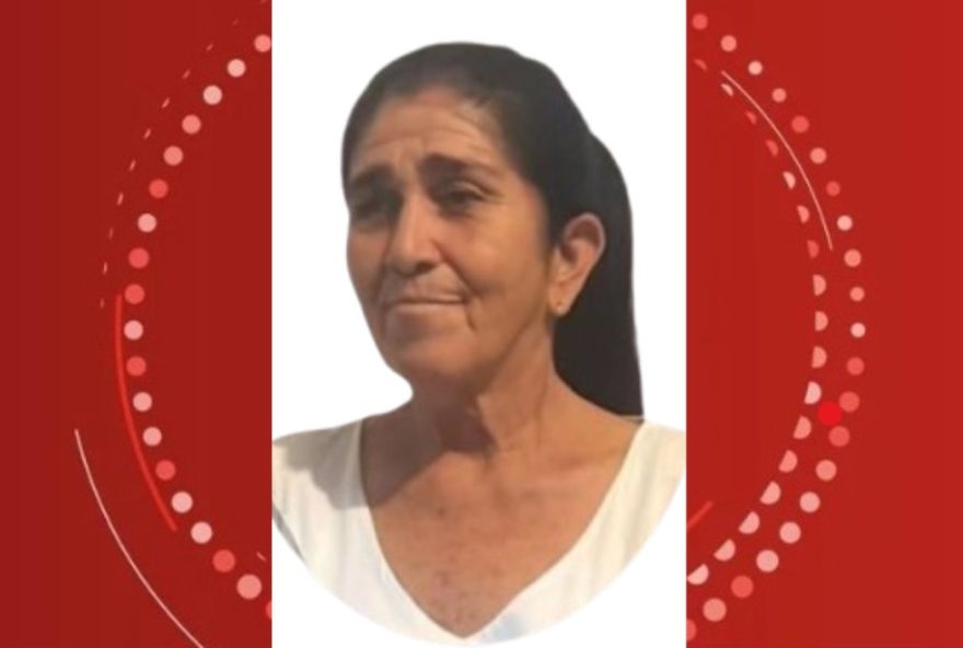idosa-de-70-anos-morre-apos-ser-atacada-por-vaca-em-fazenda-de-ipira3A-como-prevenir-incidentes3F