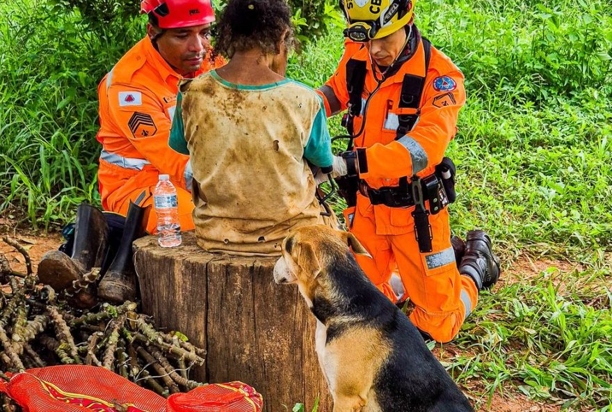 idosa-de-78-anos-e-encontrada-protegida-por-cao-apos-desaparecer-em-januaria3A-resgate-emocionante-e-a-importancia-dos-animais-de-estimacao