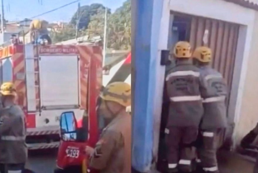 idosa-morre-apos-ataque-fatal-de-pit-bull-do-neto-em-anapolis2C-goias