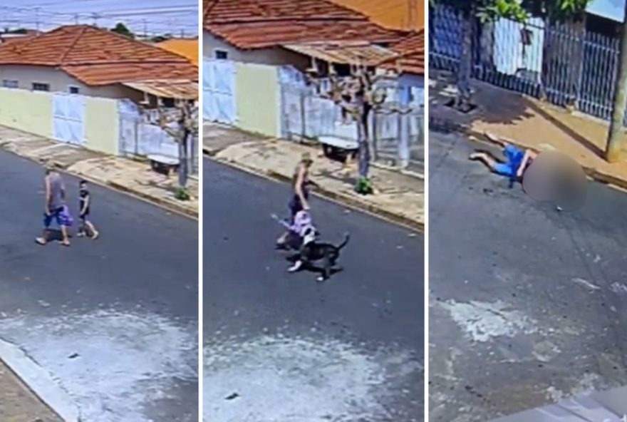 idoso-atacado-por-pitbull-protege-bisneta-no-interior-de-sp-policia-investiga-omissao-na-guarda-do-animal