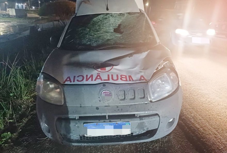 idoso-de-69-anos-morre-apos-ser-atropelado-por-ambulancia-na-br-1042C-em-agrestina2C-pe