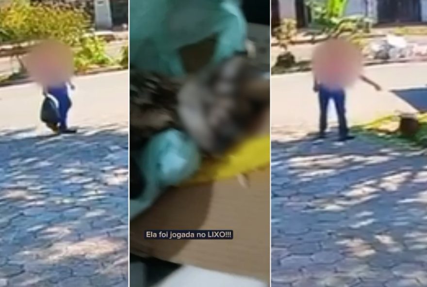 idoso-e-filmado-jogando-gata-debilitada-em-saco-de-lixo3A-policia-investiga-caso