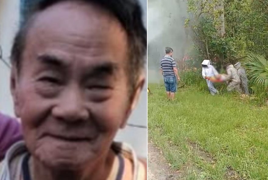 idoso-morre-apos-ataque-de-abelhas-em-sp3A-resgate-e-transferencia-em-estado-grave idoso-morre-apos-ataque-de-abelhas-em-sp3A-resgate-e-transferencia-em-estado-grave