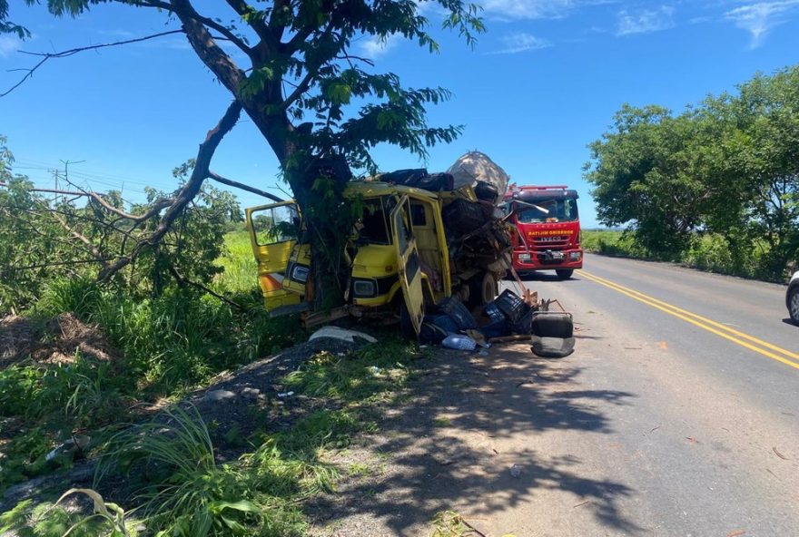 idoso-morre-em-acidente-de-caminhao-em-janauba3A-neto-e-socorrido-pelo-samu-na-mgc-122.-seguranca-rodoviaria-e-essencial.-acesse-o-diario-do-estado-para-mais-informacoes