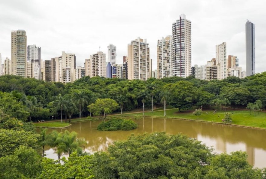 Dia da Árvore tem como objetivo conscientizar as pessoas. (Foto: Reprodução/O Popular)