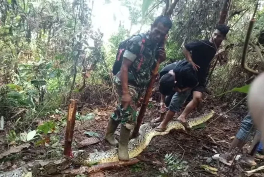 Siriati, uma dona de casa de 36 anos, que foi encontrada morta dentro de uma cobra píton de nove metros nesta quarta-feira ,3.