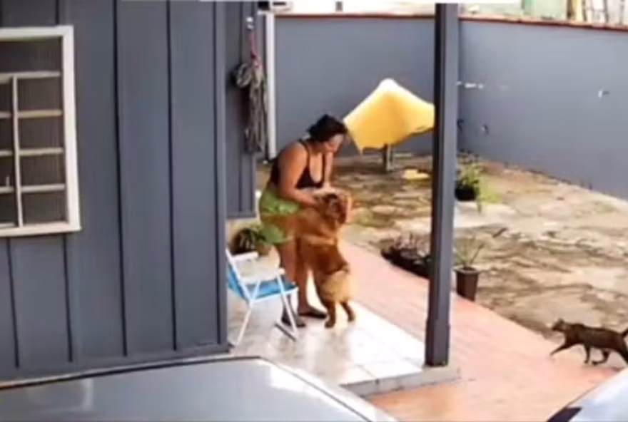 imagem-cortada