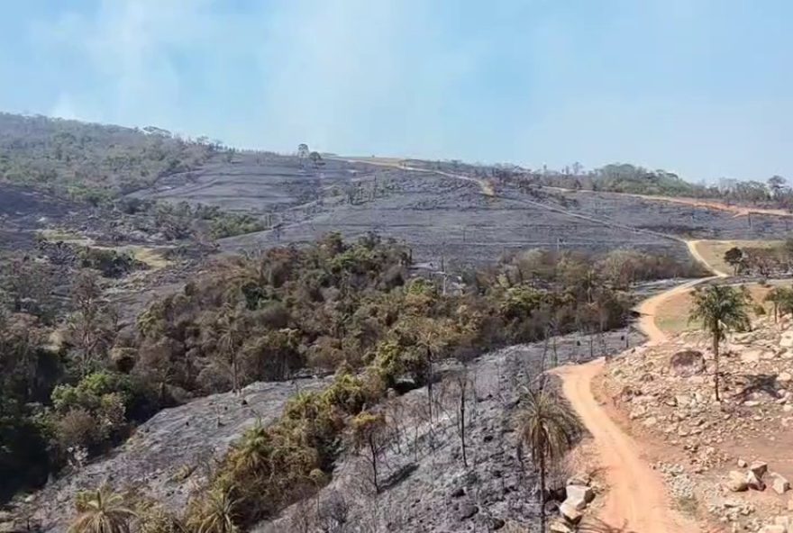 imagens-de-drone-mostram-estragos-de-incendio-em-espirito-santo-do-pinhal3A-possiveis-indicios-de-origem-criminosa