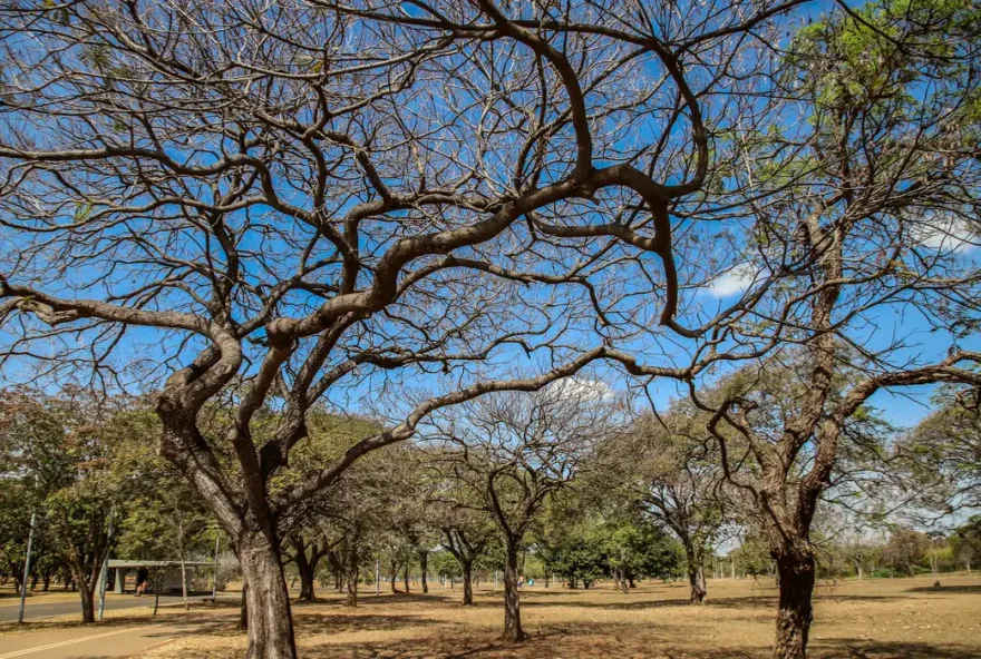 Período mais crítico será das 13 às 18 horas. (Foto: Antônio Cruz/Agência Brasil)